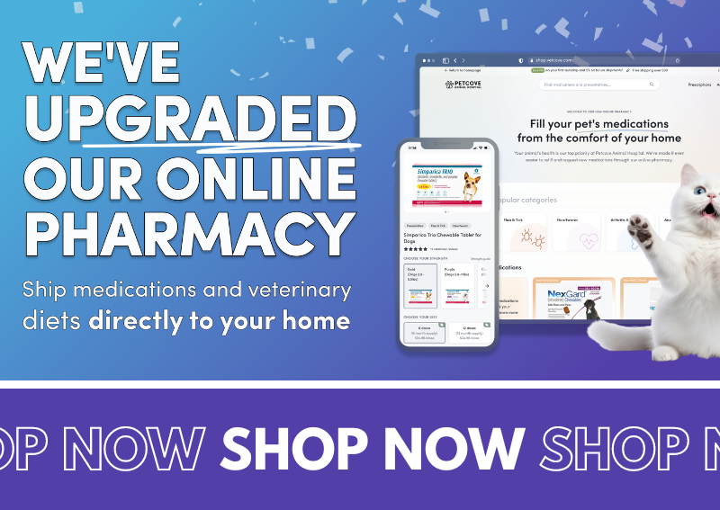 Carousel Slide 2: Check out our new and improved online pet pharmacy