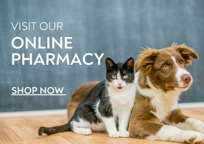 Carousel Slide 1: Online Pharmacy Dog & Cat