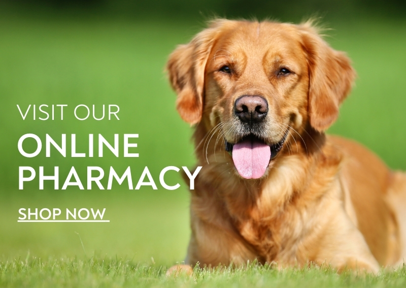 Online Pharmacy